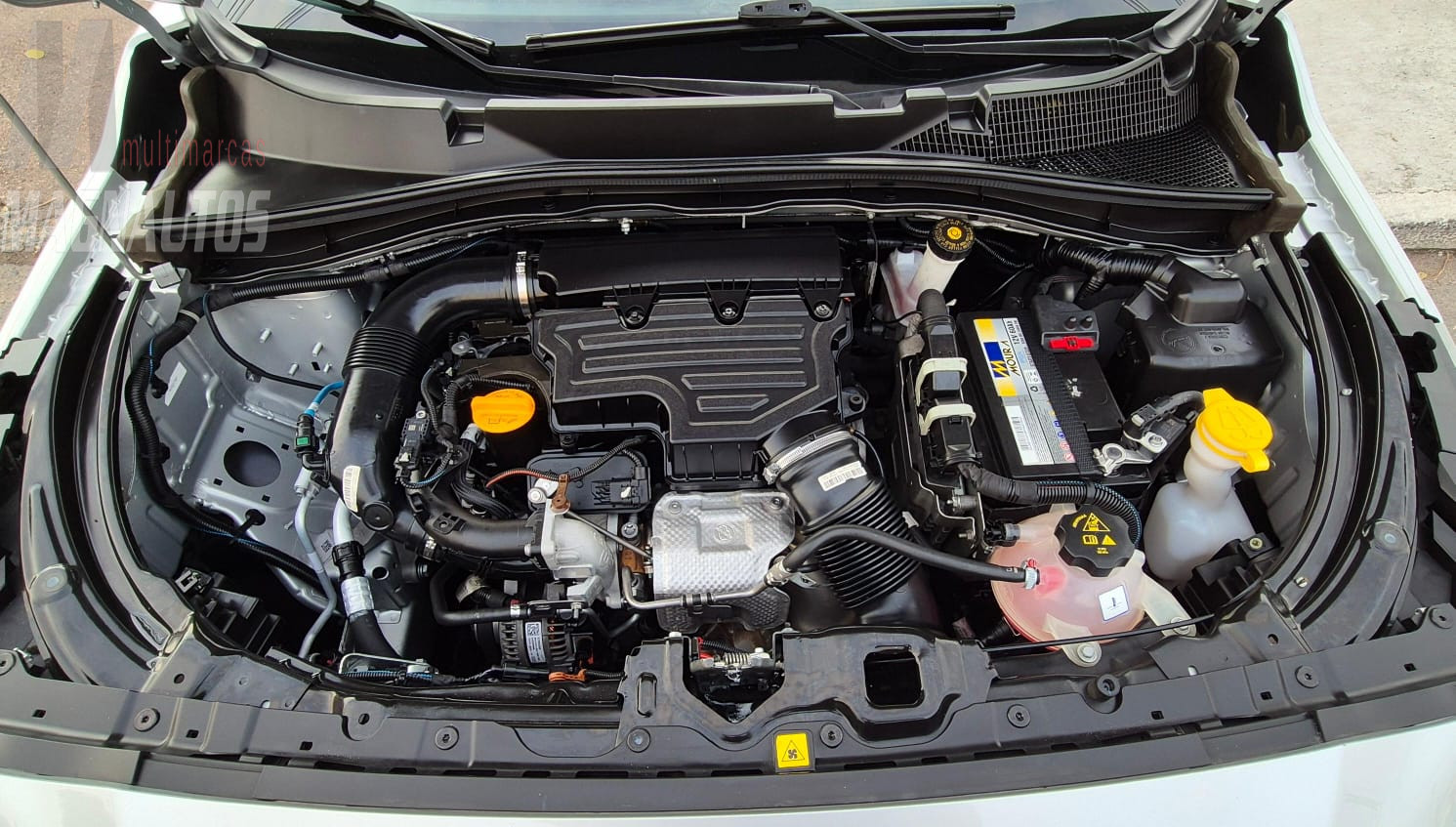 Pulse Audace 1.0 Turbo