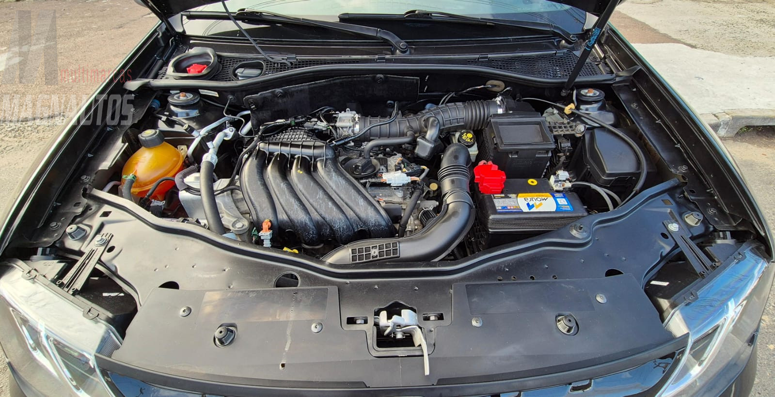 Duster Expression 1.6