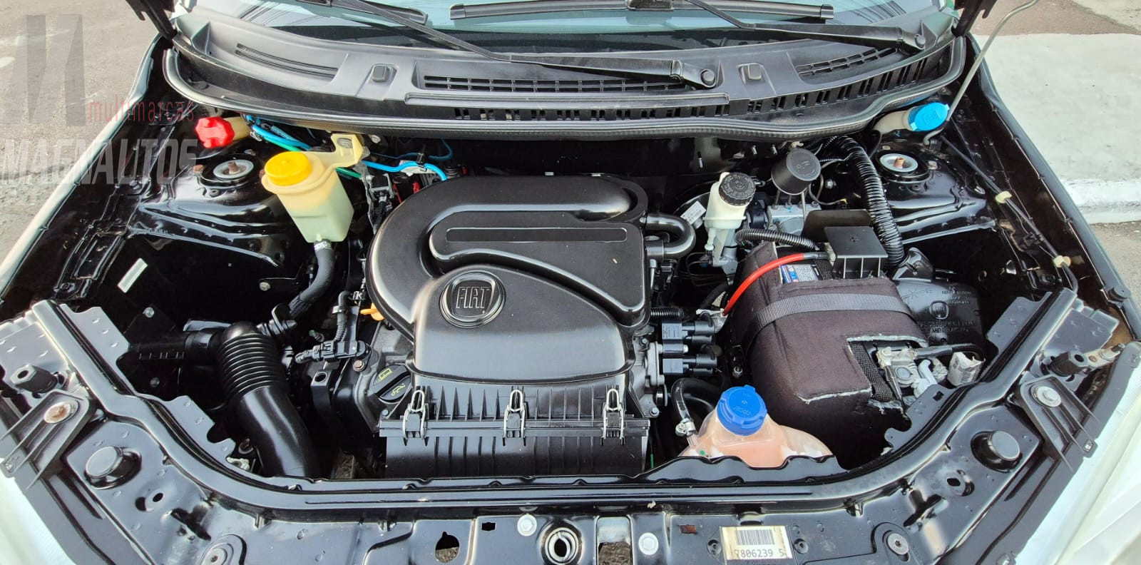 Uno Vivace Celebration 1.0 Fire