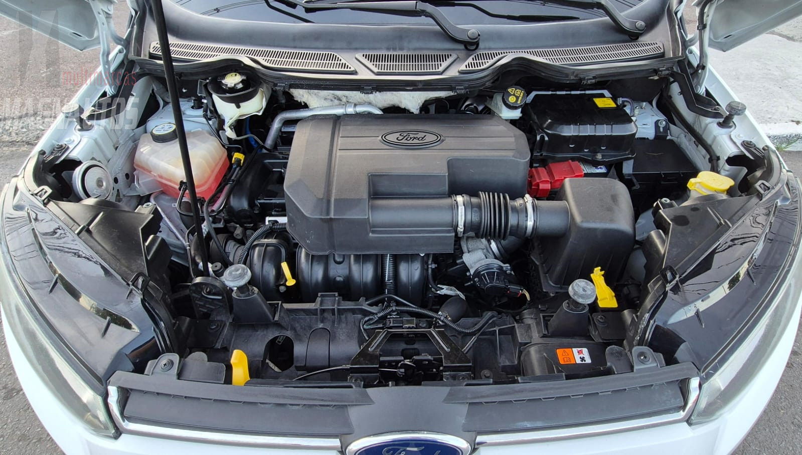 Ecosport Titanium 2.0